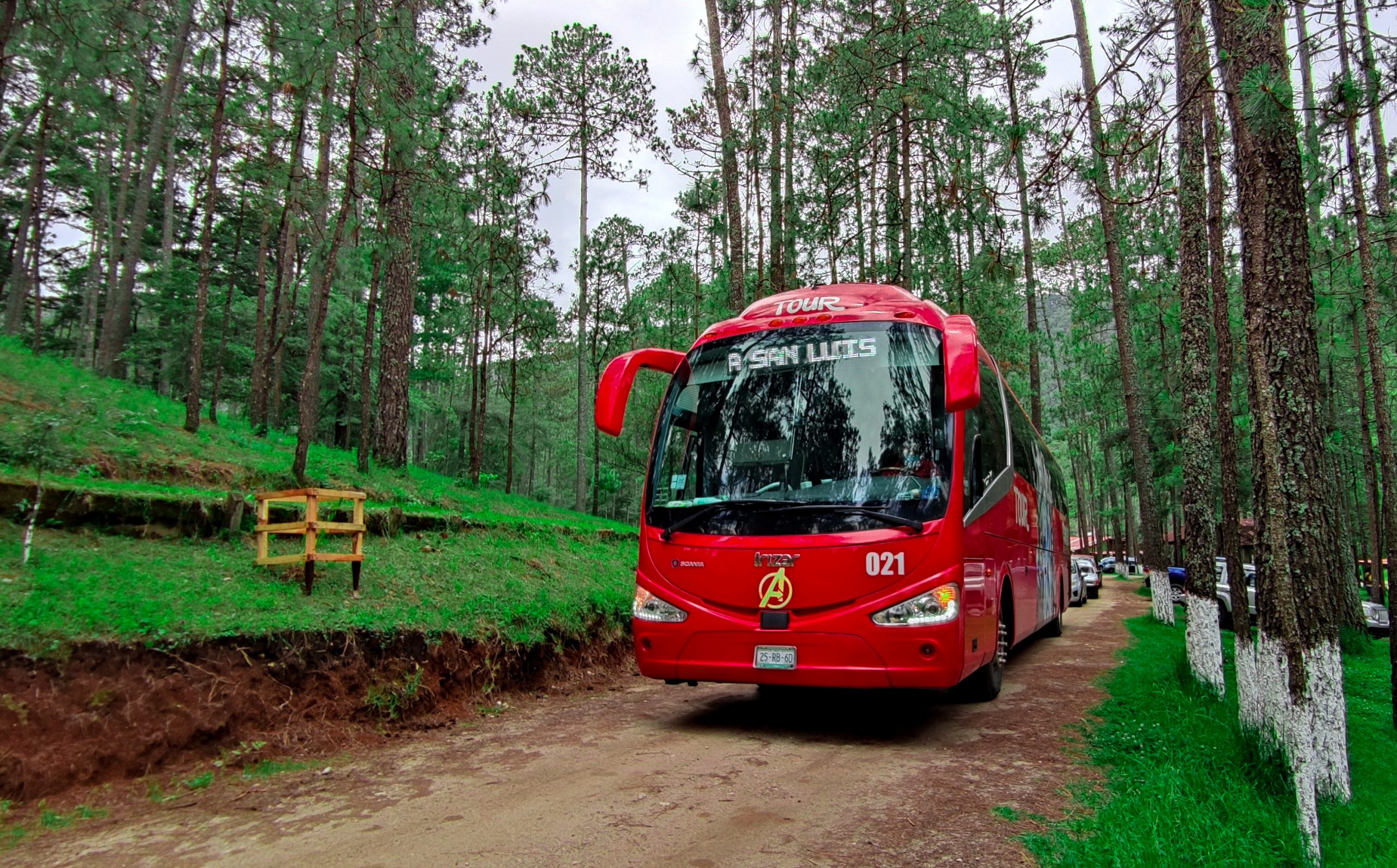 autobus021vegatours